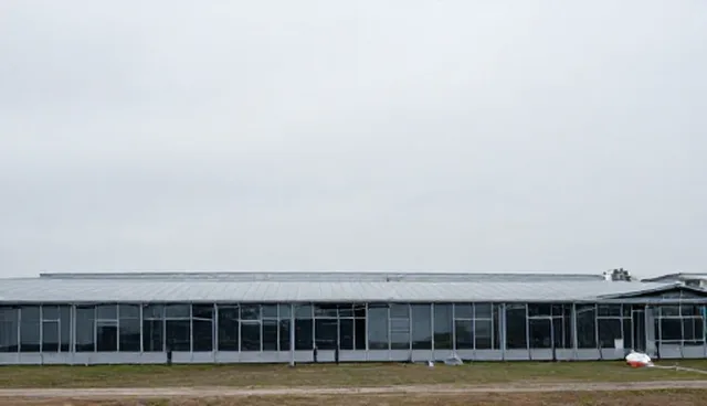 软件测试服务选型与性能优化建议